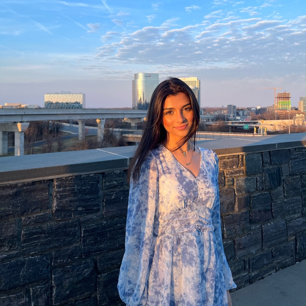 Blue and white long sleeve dress